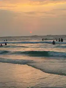 Lavender Sharjah - 14