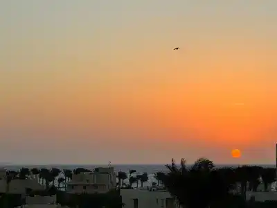 Aurora Oriental Resort Sharm El Sheikh - 35