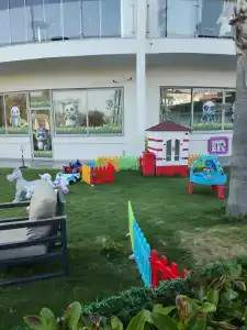 Green Nature Diamond - 86