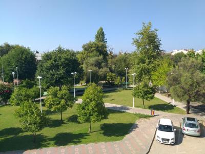 The Sansa & Spa - 11