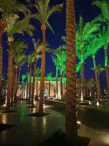 Grand Rotana Resort & Spa - 1
