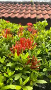 Baan Yuree Resort & Spa - SHA Plus - 28