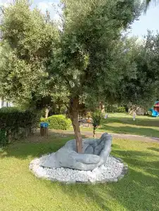 Justiniano Theodora Resort - 66
