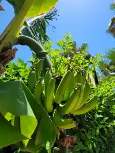 MERİDİA BEACH - 56