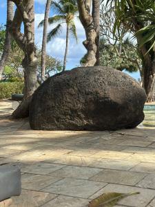 La Pirogue Mauritius - 59