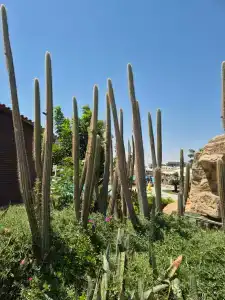 Hawaii Caesar Palace Aqua Park - Families and Couples Only - 75