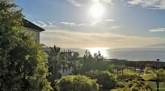 Dreams Jardin Tropical Resort & Spa - 4