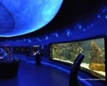 Crowne Plaza Istanbul Asia, an IHG - 24