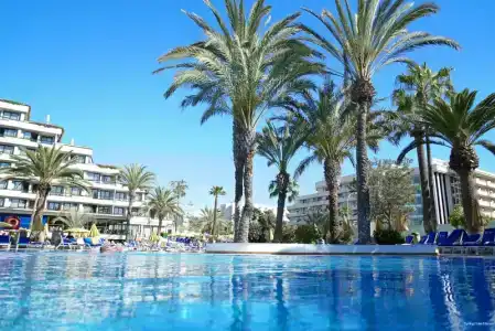 Spring Bitácora - 32