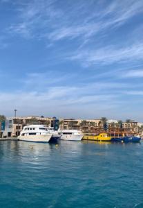 Novotel Marsa Alam Beach Resort - 19