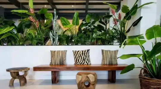 Dreams Jardin Tropical Resort & Spa - 92