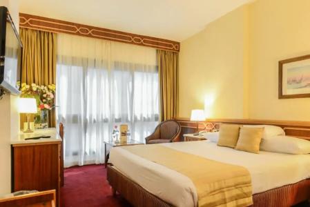 Golden Tulip Flamenco Cairo - 24