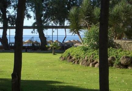 LIV by Bellazure - 39