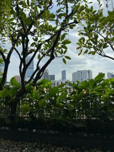 PARKROYAL COLLECTION Pickering, Singapore - 18