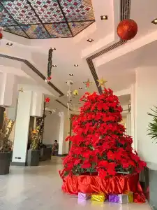 Fayrouz Resort - 83