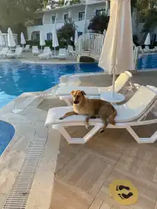 Labranda TMT Bodrum - 53