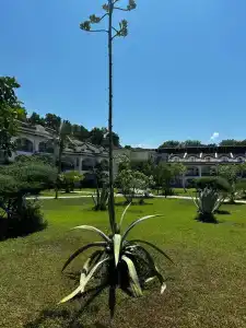 Lykia Botanika Beach Fun & Club - All Inclusive - 74