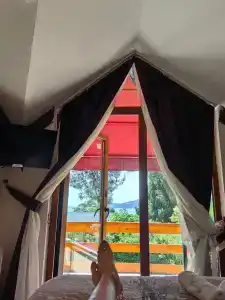 Nizam Butik Otel Büyükada - 21