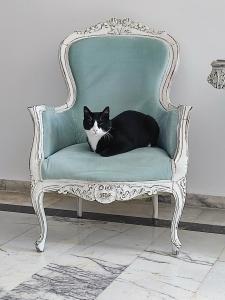 Halıcı Marmaris - 36