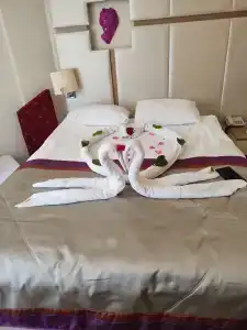 Botanik Platinum - 19