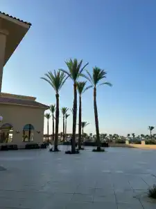 Cleopatra Luxury Resort Makadi Bay (Adults Only) - 76