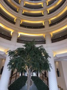 Pullman Dubai Jumeirah Lakes Towers - & Residence - 6