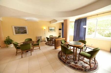 Vibra Palma Cactus - 31