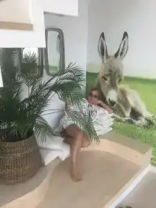 Iberostar Herceg Novi - 37