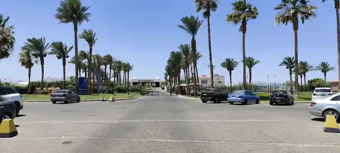 DoubleTree by Hilton Sharks Bay Resort - 89