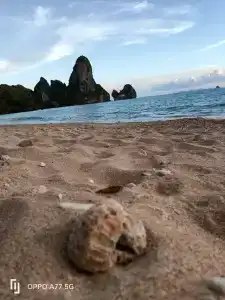 Tonsai Bay Resort - 21