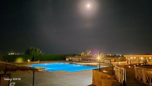 Viva Blue Resort and Diving Sharm El Naga (Adults Only) - 69