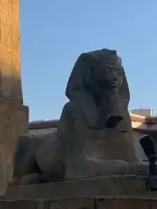 Parrotel Beach Resort - 44