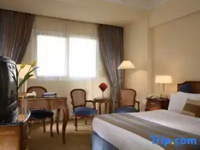 Sonesta Tower & Casino Cairo - 99