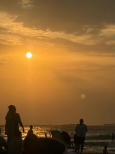 Lavender Sharjah - 48