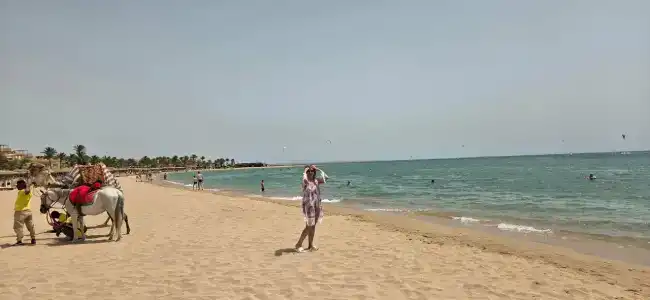 Shams Safaga Resort - 31