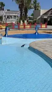 Monte Carlo Sharm Resort & Spa - 83