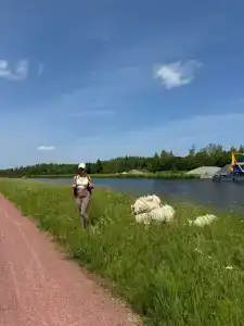 The Grand Sharm El Sheikh - 98