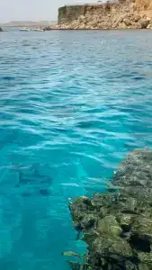 Sentido Reef Oasis Senses Aqua Park Resort - 6