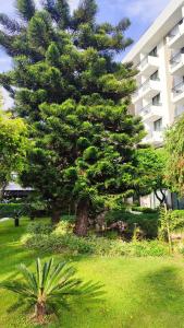 Meryan - Ultra All Inclusive - 52