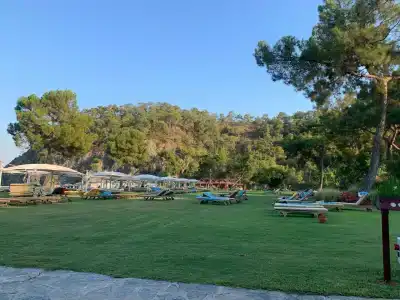 ROBINSON CAMYUVA - Adults only - 83