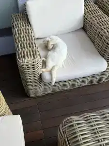 DoubleTree by Hilton Bodrum Isıl Club Resort - ULTRA ALL INCLUSIVE - 71