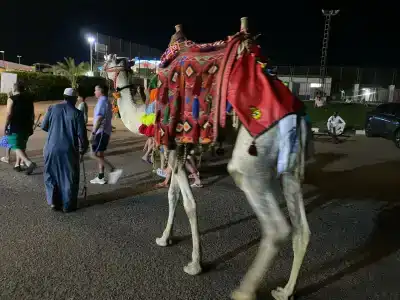 Grand Oasis Resort - 45