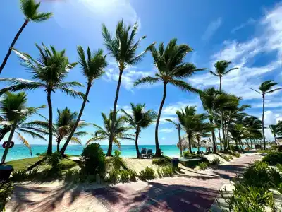 VIK Arena Blanca - 43