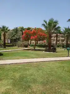 Shams Safaga Resort - 72