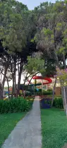 Suenos Beach Side - 23