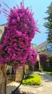 Barut Hemera - Ultra All Inclusive - 20