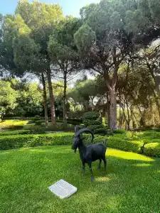 Limak Arcadia Sport Resort Belek - 53