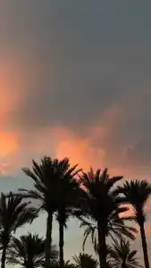 Media Rotana Dubai - 63