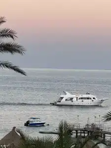 Sheraton Sharm, Resort, Villas & Spa - 55