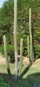 Desert View Sharm - 16